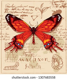 Vector banner with drawing of a Machaon butterfly and it larva on the background of old manuscript with ink stains. Illustration of a butterfly with red wings in retro style