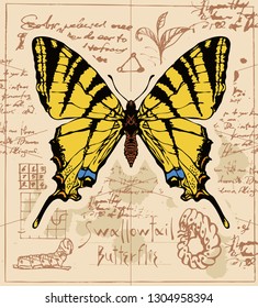Vector banner with drawing of a Swallowtail butterfly and it larva on the background of old manuscript with ink stains. Illustration of a butterfly machaon with yellow wings in retro style