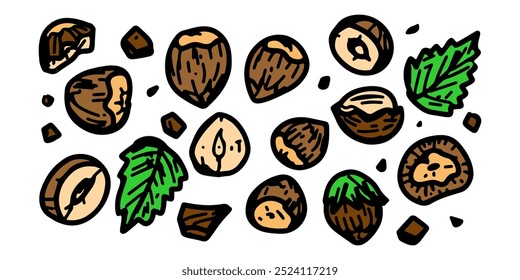 A vector banner featuring whole peeled hazelnuts with leaves