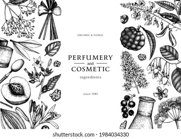 Vector banner with fragrant fruits and flowers. Hand sketched perfumery and cosmetics ingredients. Aromatic and medicinal plants design. Botanical template for invitation or greeting card. 