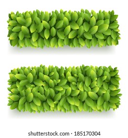 Vector banner of green leaves with copy space on white background