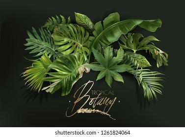 Vector banner with green tropical leaves on dark green background. Luxury exotic botanical design for cosmetics, spa, perfume, aroma, beauty salon, travel agency, florist shop