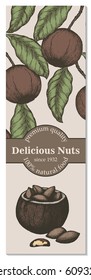 Vector banner with hand drawn branch of of Brazil nuts.