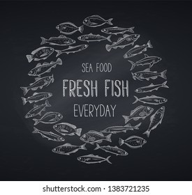 Vector banner hand drawn fish. Design chalk seafood with bream, mackerel, tunny or sterlet, codfish and halibut. Blackboard with fish tilapia, ocean perch, sardine, anchovy, sea bass and dorado.