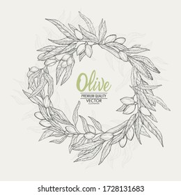 Vector banner hand drawn  olive set.Label.Olive branches isolated on white background.Engraving illustration olive-tree.Design element for packing olive oil, cosmetics.Natural plant product.