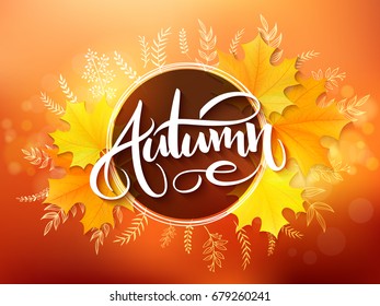 Vector banner with hand lettering label - autumn - yellow autumn maple leaves and flares.