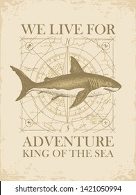 Vector banner with hand-drawn shark on the background of old map in retro style. Illustration on the theme of travel, adventure and discovery with words We live for adventure, King of the sea