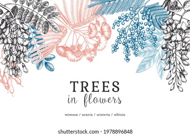 Vector banner with hand-sketched trees in flowers. Vintage illustrations on blooming wisteria, mimosa, albizia, acacia. Floral greeting card or invitation design template in color.