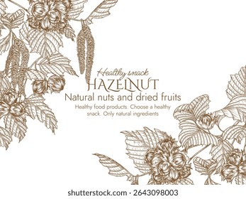 Vector banner with hazelnut branch in engraving style. Graphic banner with forest nuts on tree. Template with growing healthy snack	