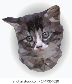 Vector banner with the head of a cat on a light background. Low Poly illustration of a cute cat with serious eyes in realistic style. Portrait of a gray-white kitten close-up. Polyart.