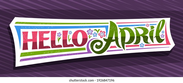 Vector banner Hello April, white modern concept with curly calligraphic font, illustration of colorful flowers, decorative greeting card with unique swirly hand written lettering hello april on purple