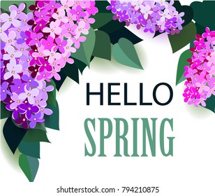 vector banner hi spring with lilac flowers in style cut paper