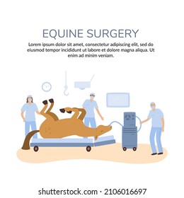 vector banner with illustration of equine colic surgery, team of veterinarian surgeons are standing in the clinic