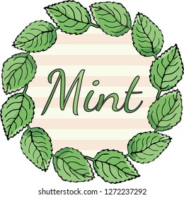 Vector banner. The inscription "Mint" on a striped background surrounded by mint leaves.