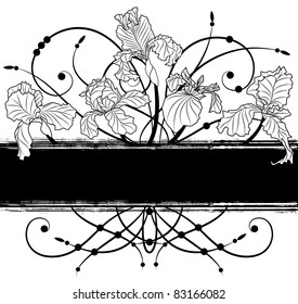 vector banner with irises in black and white colors