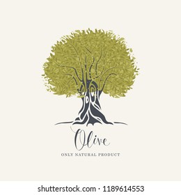 Vector banner or label with decorative olive tree with abstract green foliage and handwritten inscription on light background in retro style