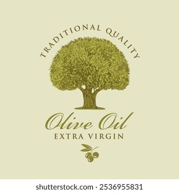 Vector banner or label for extra virgin olive oil with realistic olive tree and handwritten inscriptions on background in retro style