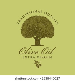 Vector banner or label for extra virgin olive oil with realistic olive tree and handwritten inscriptions on green background in retro style