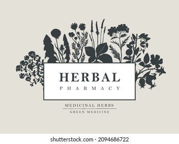 Vector banner or label with the words Herbal pharmacy. Decorative frame with medicinal plants in retro style. Hand-drawn illustration with silhouettes of herbs and flowers on a light background
