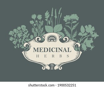 Vector banner or label with the words Medicinal herbs. Hand-drawn illustration with silhouettes of medicinal herbs on a dark background in retro style. Vintage frame with herbal flowers