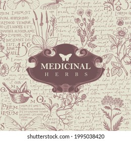 Vector banner or label with the words Medicinal herbs. Hand-drawn illustration in retro style with vintage frame on the background of medicinal herbs and handwritten text Lorem Ipsum