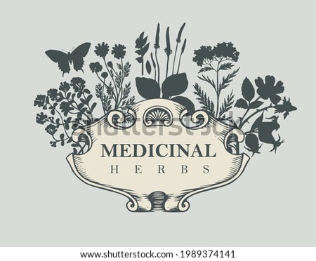 Vector banner or label with the words Medicinal herbs. Vintage frame with medicinal plants in retro style. Hand-drawn illustration with silhouettes of herbs and flowers on a light gray background