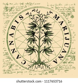 Vector Banner For Legalize Marijuana With Hemp Plant On Abstract Old Papyrus Background Or Grunge Style Manuscript. Natural Product Made From Organic Hemp. Smoking Weed. Medical Cannabis Logo