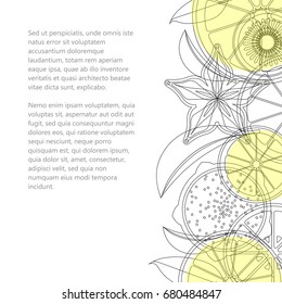 Vector banner with linear citrus and exotic fruits with place for text.