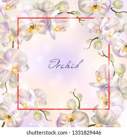 Vector banner with Luxurious orchid flowers for invitation, sales, packaging, natural cosmetics, perfume. Space for text.