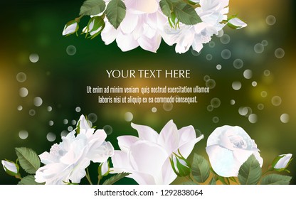 Vector banner with Luxurious tulips and roses flowers for invitation, sales, packaging, natural cosmetics, perfume. Space for text.