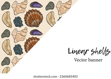 Vector banner made of shells pattern. Different colored shells on sandy background and white empty space for your message. 