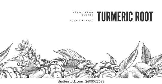 Vector banner with monochrome seamless pattern of leaves, flowers, turmeric tubers along the bottom border. Hand drawn illustration. Vintage outline style. Space for text. Food organic ingredient.