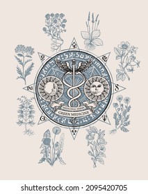 Vector banner on the theme of green medicine with hand-drawn staff of Hermes, sun, moon, magic symbols and medicinal herbs. Vintage illustration with caduceus and curative plants