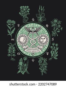 Pancarta vectorial sobre el tema de la medicina verde con personal de Hérmes, sol, luna, símbolos mágicos y hierbas medicinales dibujado a mano. Ilustración de vintage con plantas caduceus y curativas
