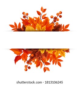 Vector banner with orange autumn leaves.