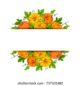 Vector banner with orange pumpkins and green leaves.