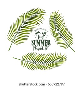 Vektorbanner mit Palmblättern für Poster, T-Shirt, Label, Aufkleber und jedes Design mit Sommerthema.