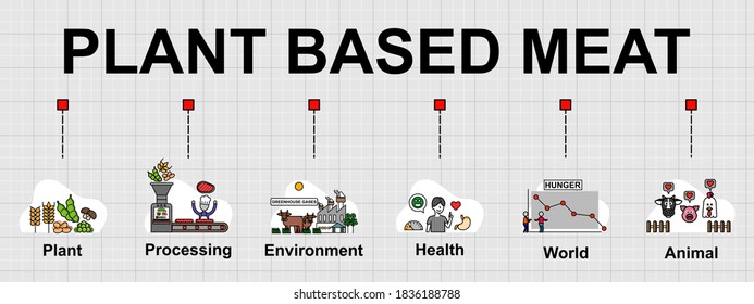 Vector banner of Plant based meat that made from plant protein. Creative flat design for web banner ,business presentation, online article .