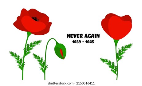 Vector Banner With a Poppy Flowers and a Description Never Again