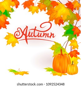 Vector banner Pumpkin on a background of yellow and orange foliage