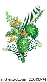 Vector banner with realistic detailed tropical leaves and Strelitzia flower. Colorful and bright. Design elements for cosmetics products, wellness, spa and floristic shop.