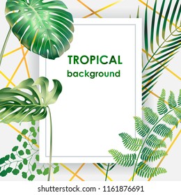 Vector banner with realistic detailed tropical leaves on abstract background.  Design elements for cosmetics products, wellness, spa and floristic shop. Wedding Invitation. Wedding Invitation.