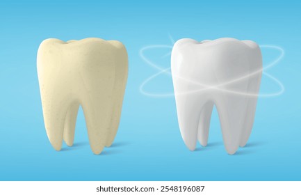 Vector Banner with Realistic Dirty and Clean Tooth. Cleaning Concept, Before, After Hygienic Teeth Cleaning. Dentistry Design for Medical, Toothpaste Advertisement. Healthy Oral Hygiene, Teeth Care