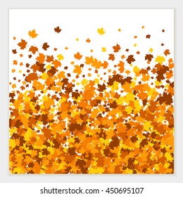 Vector banner of scattered maple leaves in autumn colors. Isolated.