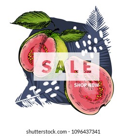 Vector banner for shop web site. Summer sale. Tropical trendy palm leaf ans hand drawn guava. Business promotion, social media marketing, SMM, flyer, online shopping, advertisting coupon, newsletter