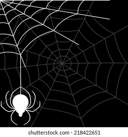 Vector banner. Spider.