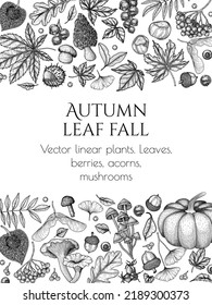 Vector banner template autumn in woodcut style. Oak leaf, acorns, berries, maple leaves, ginkgo, chanterelles, porcini mushroom, fly agaric, chestnut, physalis, wild rose, mountain ash
