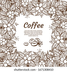 Mapa vectorial con ramas de árbol de café con flores, hojas, bayas y frijoles. Planta de café fronterizo