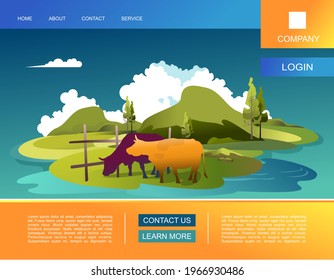 Vector banner template cartoon wildlife landscape summer meadows with hills, farm pastures, organic animal husbandry, horizontal illustration for home landing page or website