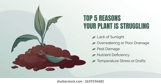 Modelo de banner de vetor com ilustração de planta e solo danificada. Layout educacional com manchete Top 5 razões que sua planta está lutando, problemas comuns de cuidados com a planta. Design horizontal para anúncios ou blogs.